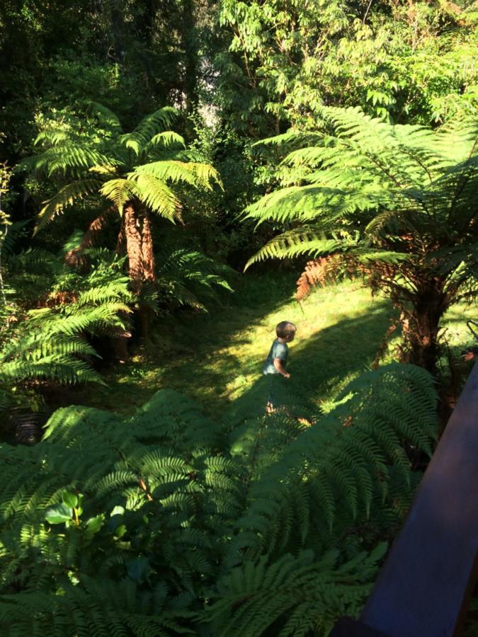 フランツ・ジョゼフ The Ferns Hideawayヴィラ エクステリア 写真